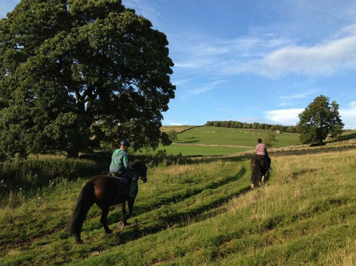 Riding Holidays Derbyshire Riding Holidays Peak District Hoe Grange